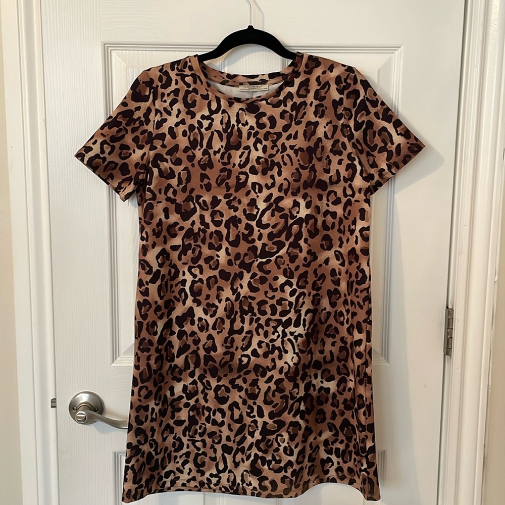 Zara dress